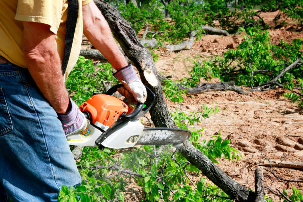 Lawn Grading and Leveling in Columbus, MT